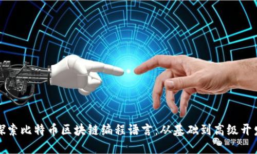 深入探索比特币区块链编程语言:从基础到高级开发技巧