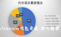 高仿TokenTokenim钱包开发：深入解析与实用指南