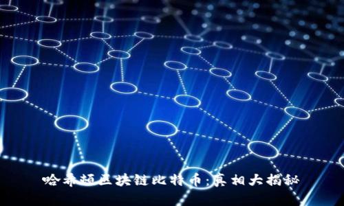 哈希顿区块链比特币:真相大揭秘