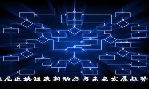 鲁比尼区块链最新动态与未来发展趋势分析