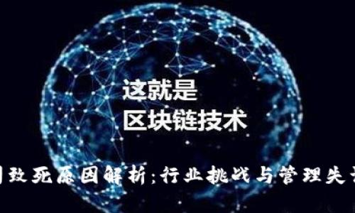 Tokenim公司致死原因解析：行业挑战与管理失误的深度剖析
