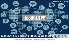 什么是CAM币？深入了解其区块链技术与应用前景