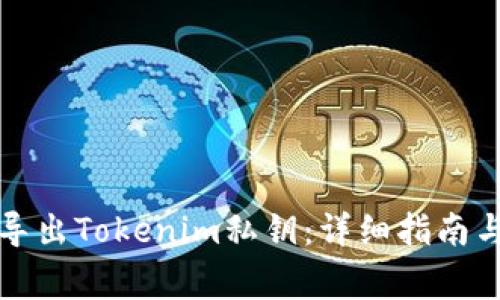 如何安全导出Tokenim私钥:详细指南与注意事项