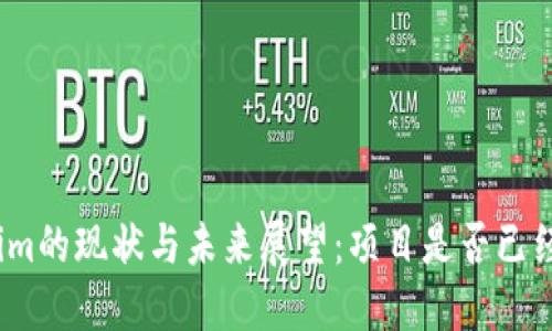 Tokenim的现状与未来展望:项目是否已经失败?