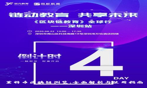 莱特币区块链浏览:全面解析与使用指南