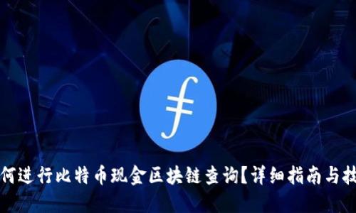 如何进行比特币现金区块链查询?详细指南与技巧