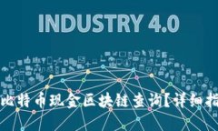 如何进行比特币现金区块链查询？详细指南与技