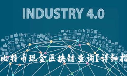 如何进行比特币现金区块链查询?详细指南与技巧