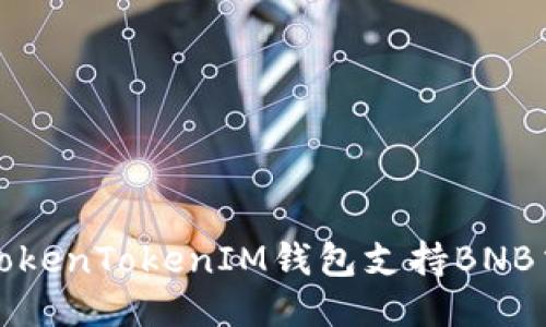 如何使用TokenTokenIM钱包支持BNB交易与管理