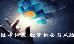 区块链币私募：投资机会与风险分析