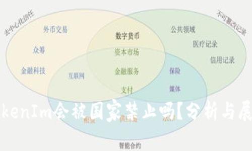 TokenIm会被国家禁止吗?分析与展望