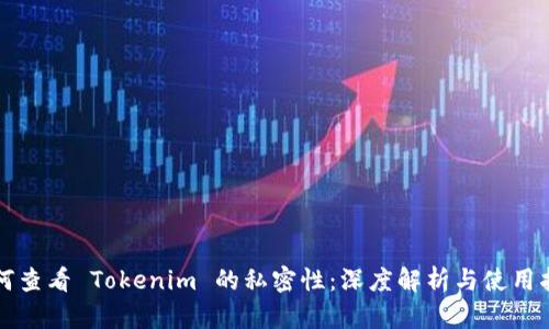如何查看 Tokenim 的私密性：深度解析与使用指南