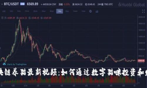 区块链养猫最新视频：如何通过数字猫咪投资和赚钱