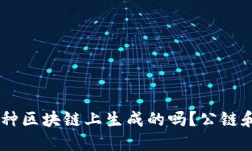 你知道SCC币是在哪种区块链上生成的吗？公链和私链的区别大揭秘！