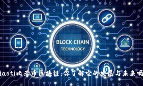 jiaoti比亚币区块链：你了解它的发展与未来吗？