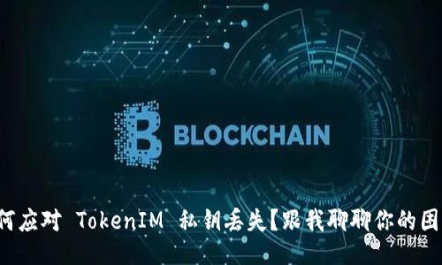 如何应对 TokenIM 私钥丢失？跟我聊聊你的困扰！