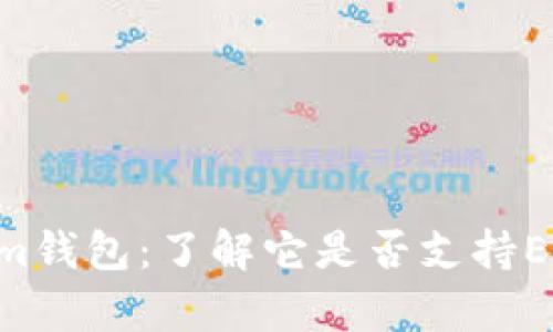 tokentokenim钱包：了解它是否支持ERC-20兼容性