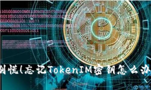 “别慌！忘记TokenIM密钥怎么办？”