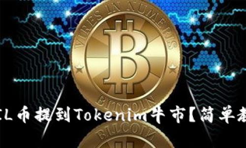 如何将FIL币提到Tokenim牛市？简单教程来了！