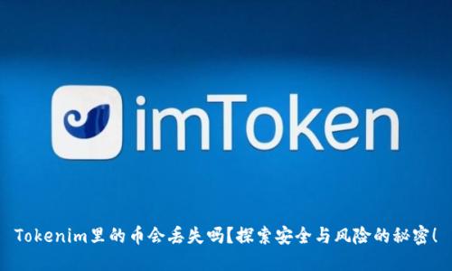 Tokenim里的币会丢失吗？探索安全与风险的秘密！