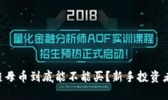 区块链母币到底能不能买？新手投资者必看！