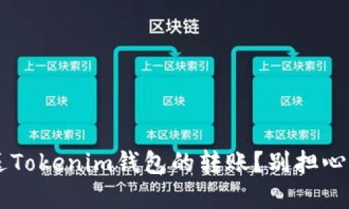如何重新发送Tokenim钱包的转账？别担心，我们来聊聊！