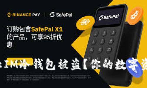 如何有效防止IM冷钱包被盗？你的数字资产安全攻略！