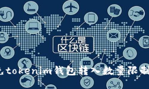 如何避免tokenim钱包转入数量限制的问题？