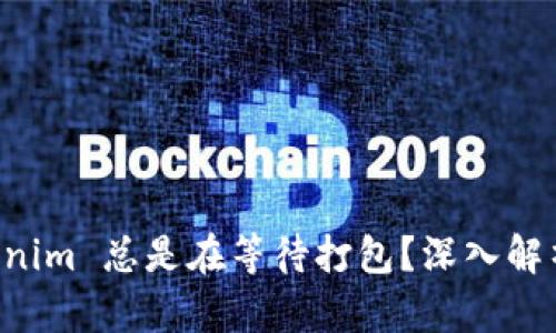 为何 Tokenim 总是在等待打包？深入解析解决方案