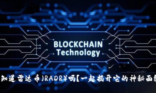你知道雷达币（RADR）吗？一起揭开它的神秘面纱！