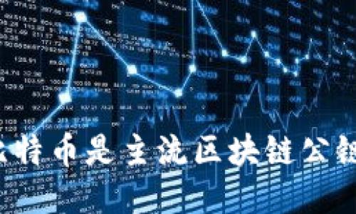 为什么比特币是主流区块链公链的王者？