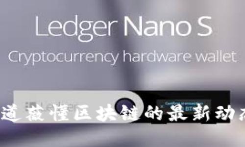 你知道薇懂区块链的最新动态吗？