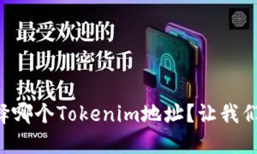 应该选择哪个Tokenim地址？让我们来聊聊！