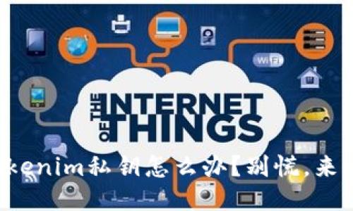 忘记Tokenim私钥怎么办？别慌，来看这里！