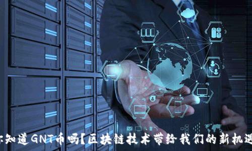   
你知道GNT币吗？区块链技术带给我们的新机遇！