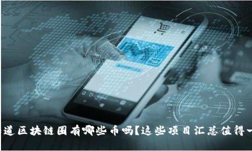 你知道区块链圈有哪些币吗？这些项目汇总值得一看！