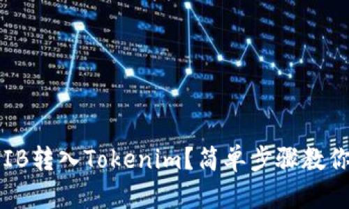 如何将SHIB转入Tokenim？简单步骤教你轻松实现