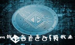 老版Tokenim钱包怎么导入？跟我来一步步教你！