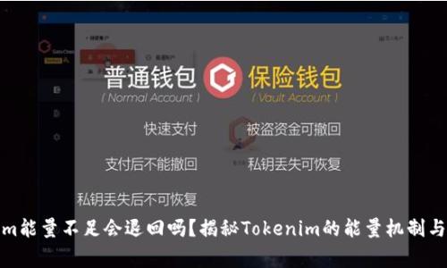 : Tokenim能量不足会退回吗？揭秘Tokenim的能量机制与玩家互动