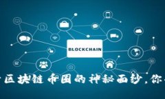 《阿拉丁：揭开区块链币圈的神秘面纱，你准备