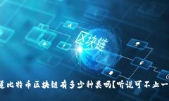 你知道比特币区块链有多少种类吗？听说可不止