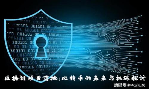 区块链项目落地：比特币的未来与机遇探讨
