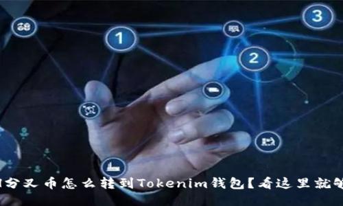 “BCH分叉币怎么转到Tokenim钱包？看这里就够了！”