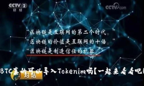 BTC真的可以导入Tokenim吗？一起来看看吧！