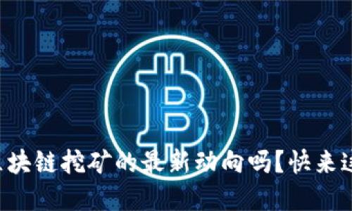 想知道酷我区块链挖矿的最新动向吗？快来这里了解一下！