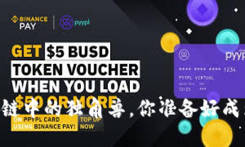 如何玩转Pi币：区块链中的独角兽，你准备好成为早期投资者了吗？