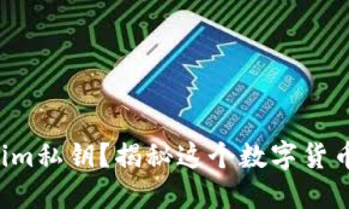 什么是Tokenim私钥？揭秘这个数字货币背后的秘密！