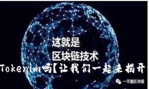 你知道什么是Tokenim吗？让我们一起来揭开它的神秘面纱！