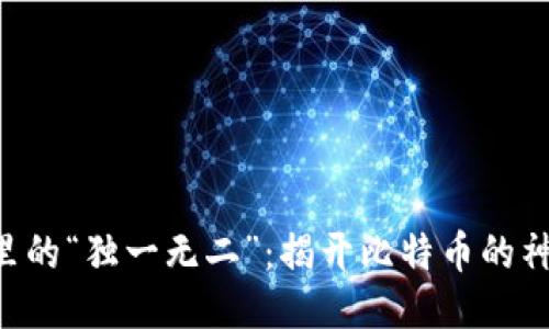 区块链里的“独一无二”：揭开比特币的神秘面纱！