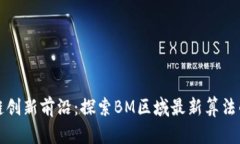 区块链创新前沿：探索BM区域最新算法的奥秘